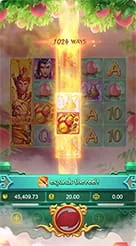 pp123 · Lgd Monkey Kg