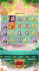 pp123 · Lgd Monkey Kg